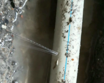 柳州卫生间测漏水多少钱